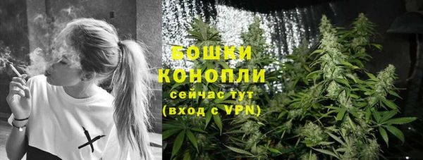 соль ск Переславль-Залесский